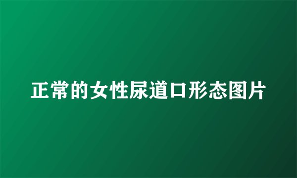 正常的女性尿道口形态图片