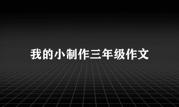 我的小制作三年级作文