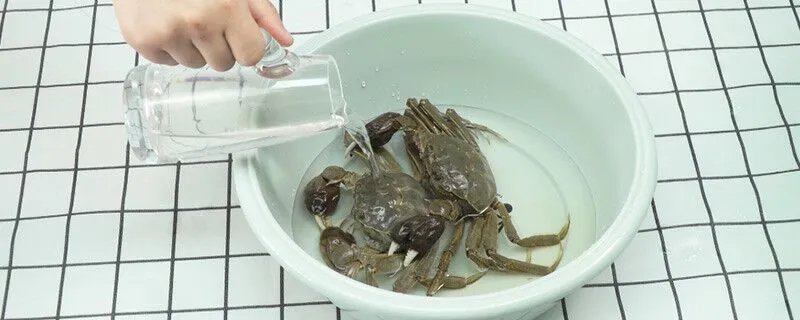 活螃蟹怎么保存