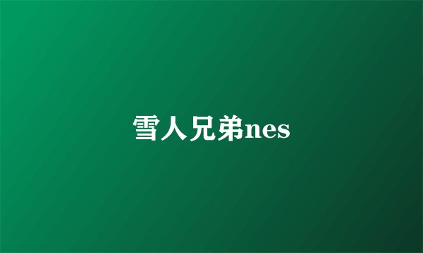 雪人兄弟nes