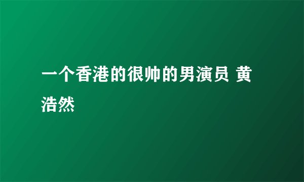 一个香港的很帅的男演员 黄浩然