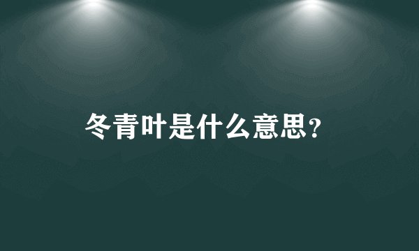 冬青叶是什么意思？