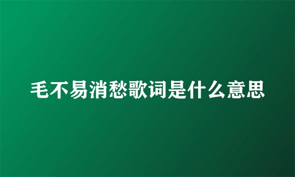 毛不易消愁歌词是什么意思