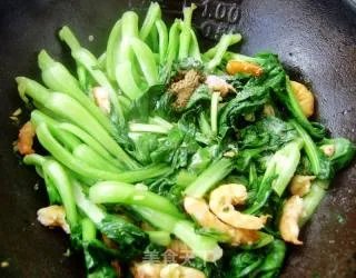 海米油菜