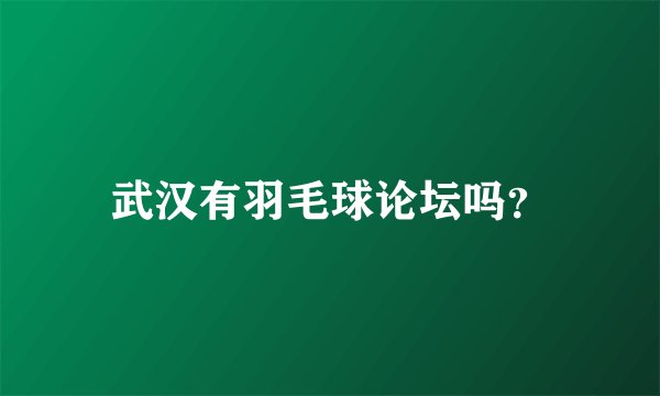 武汉有羽毛球论坛吗？