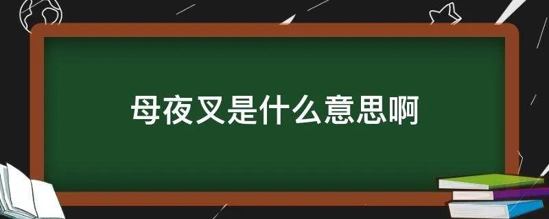 母夜叉是什么意思啊