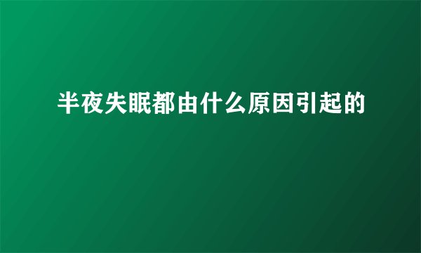 半夜失眠都由什么原因引起的