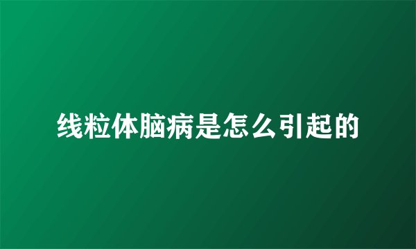 线粒体脑病是怎么引起的