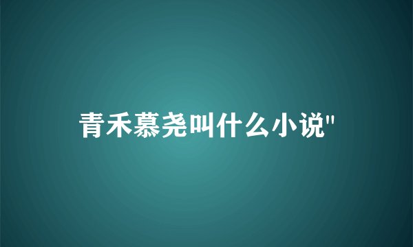 青禾慕尧叫什么小说