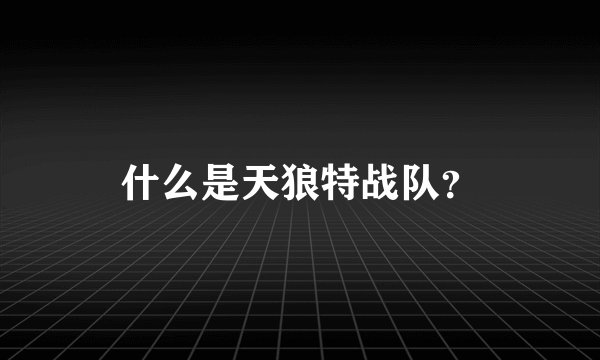 什么是天狼特战队？