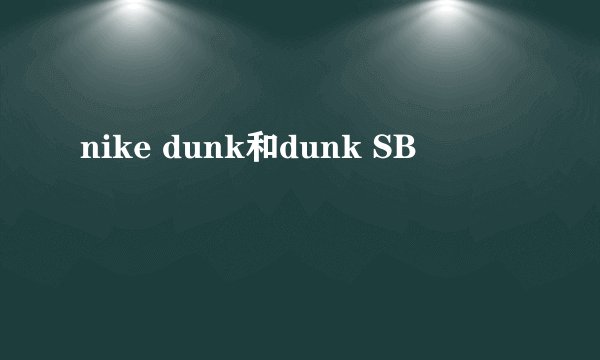 nike dunk和dunk SB