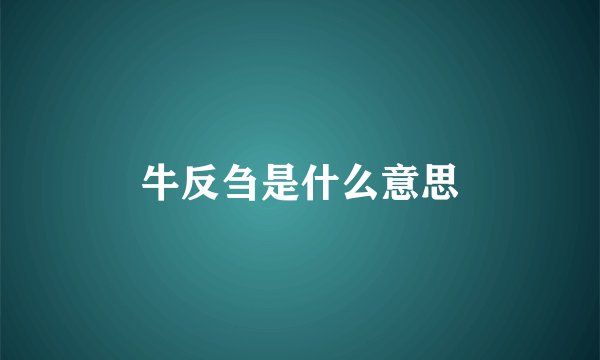 牛反刍是什么意思