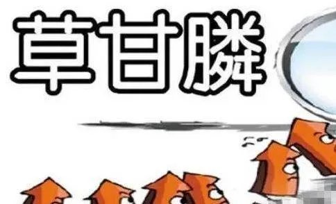 美国禁用草甘膦,大家怎么看待这个事情?