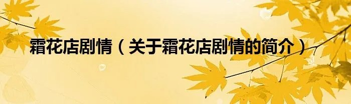 霜花店剧情（关于霜花店剧情的简介）
