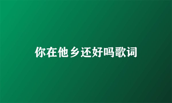 你在他乡还好吗歌词