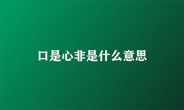 口是心非是什么意思