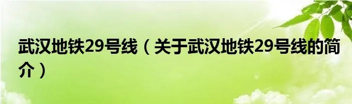 武汉地铁29号线(关于武汉地铁29号线的简介)