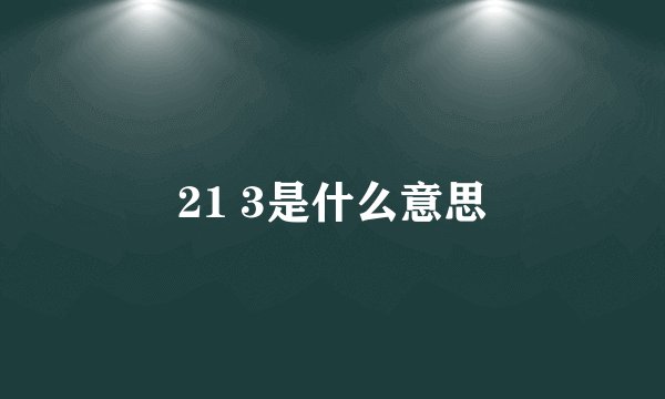21 3是什么意思