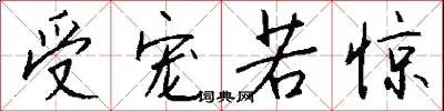 受宠若惊
