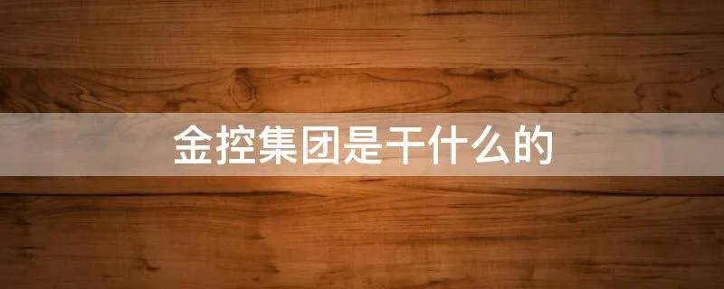 金控集团是干什么的