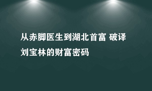 从赤脚医生到湖北首富 破译刘宝林的财富密码