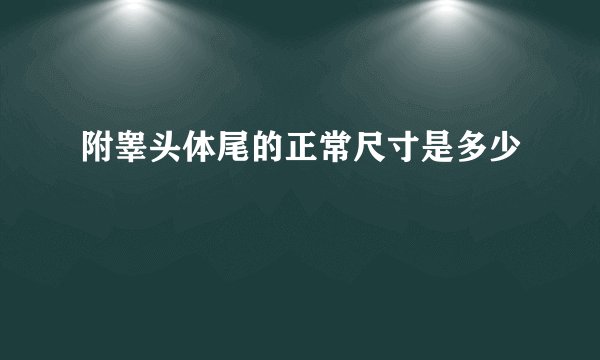 附睾头体尾的正常尺寸是多少