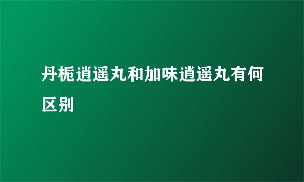 丹栀逍遥丸和加味逍遥丸有何区别