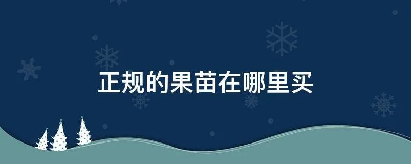 正规的果苗在哪里买