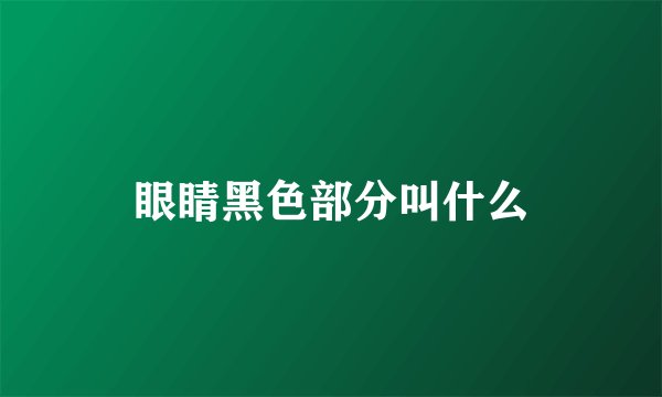 眼睛黑色部分叫什么