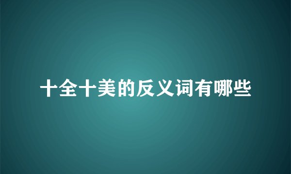 十全十美的反义词有哪些