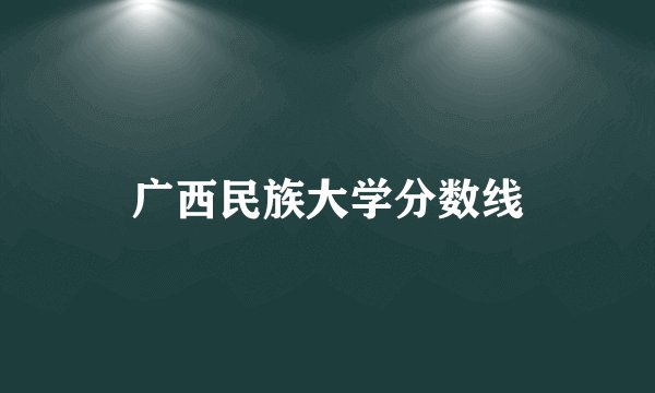 广西民族大学分数线