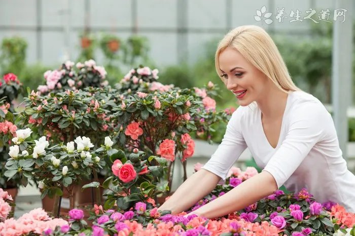 老花镜什么材质好