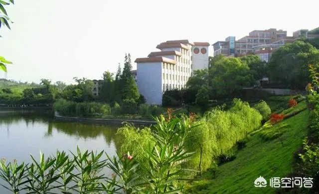 重庆文理学院究竟是一所什么档次的大学?哪些专业好? ?