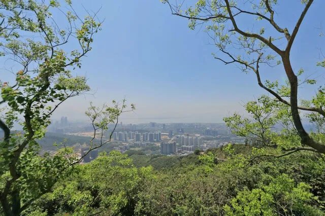 深圳十大名山
