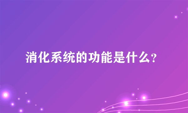 消化系统的功能是什么？