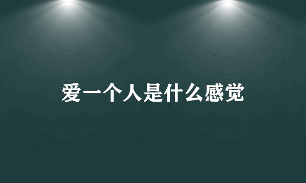 爱一个人是什么感觉
