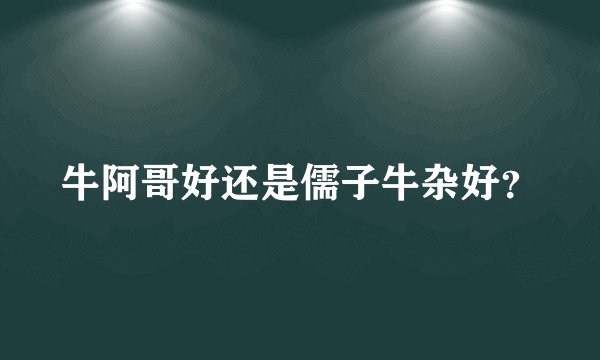 牛阿哥好还是儒子牛杂好？