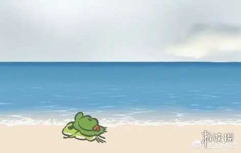 《旅行青蛙》这么可爱一定是男孩子!我家的蛙性别确认