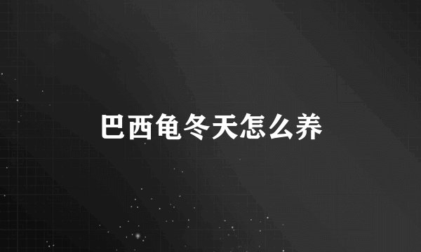巴西龟冬天怎么养