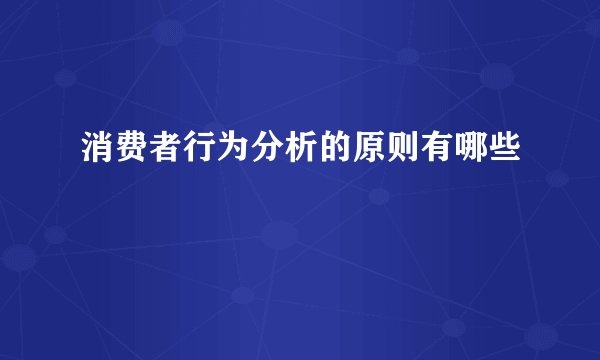 消费者行为分析的原则有哪些