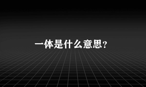 一体是什么意思？