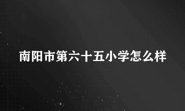 南阳市第六十五小学怎么样