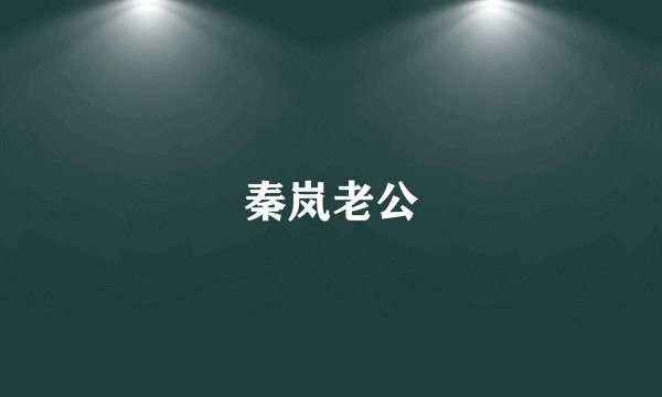 秦岚老公
