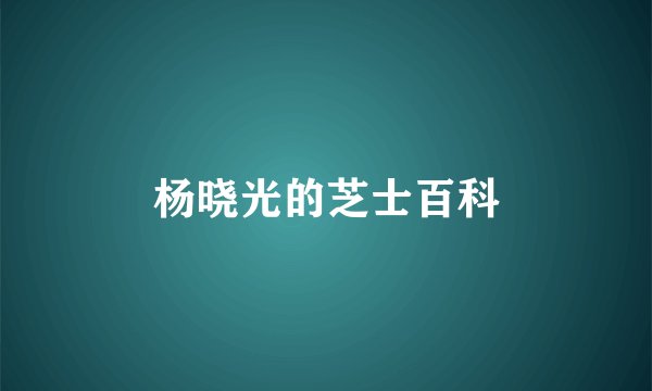 杨晓光的芝士百科