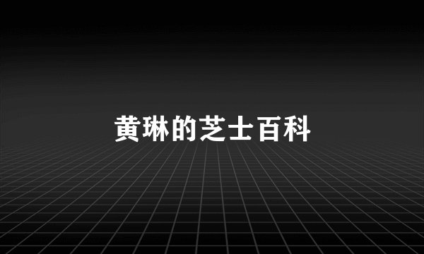 黄琳的芝士百科