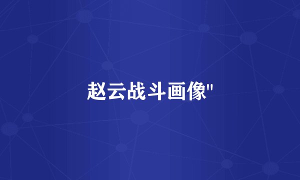 赵云战斗画像