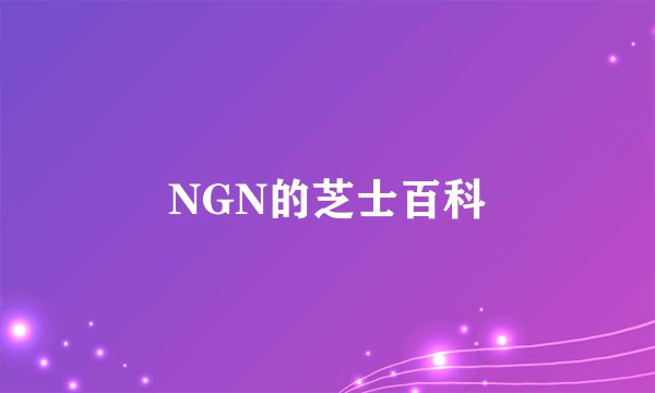NGN的芝士百科