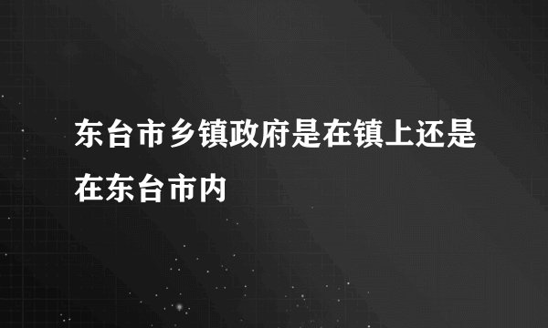 东台市乡镇政府是在镇上还是在东台市内