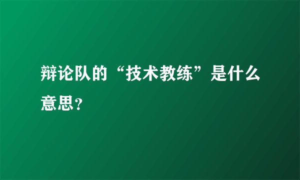 辩论队的“技术教练”是什么意思？
