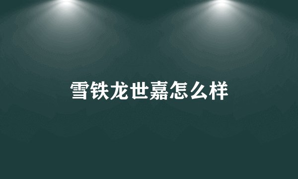 雪铁龙世嘉怎么样